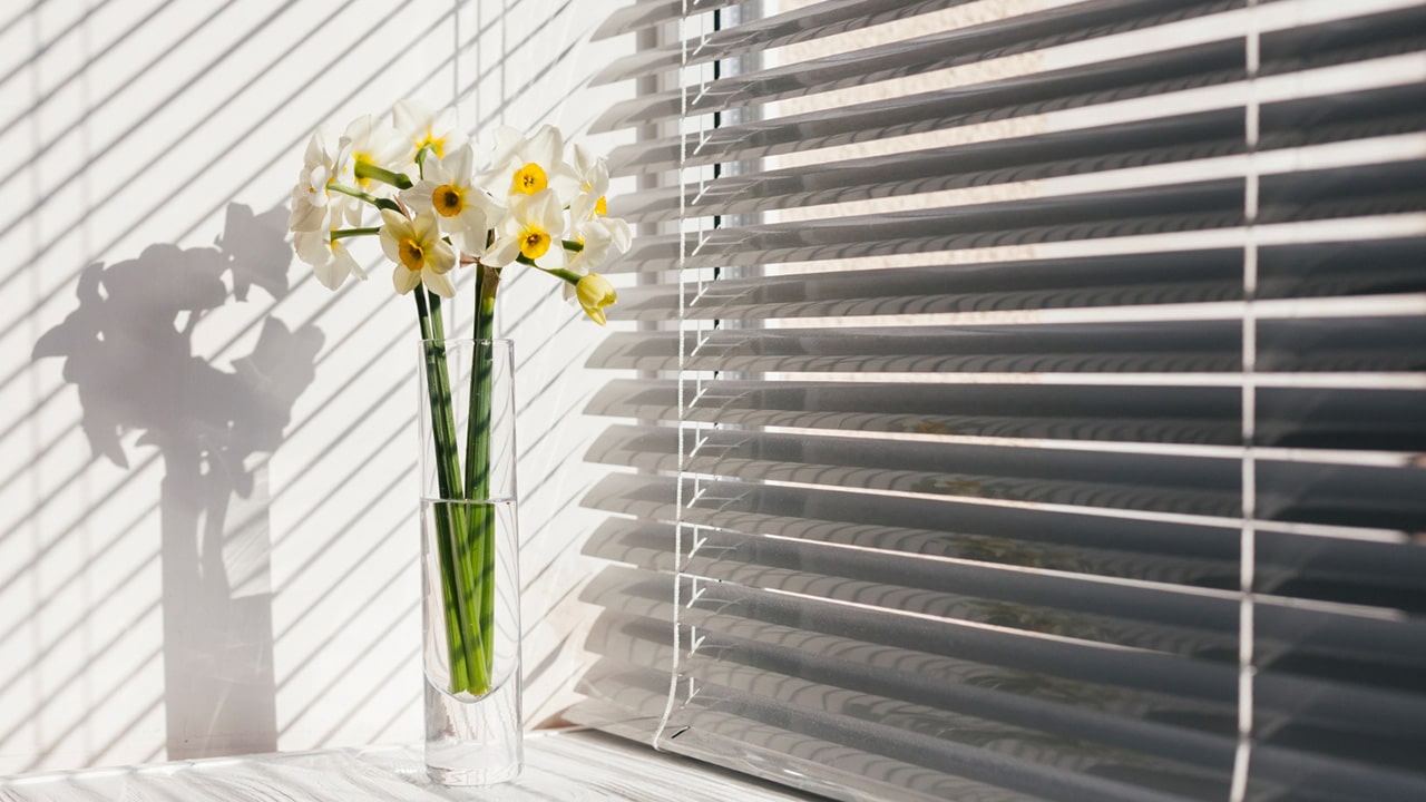 Pare soleil fenêtre extérieur : une protection efficace
